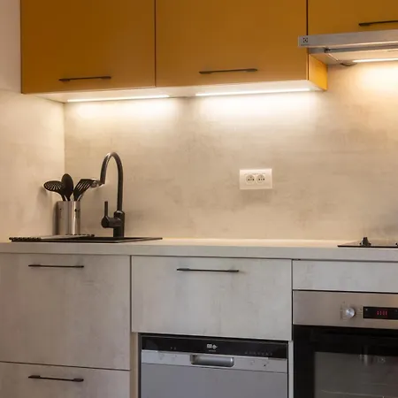 Bel Lumineux Avec Balcon Et Terrasse