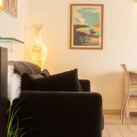 Bel Lumineux Avec Balcon Et Terrasse